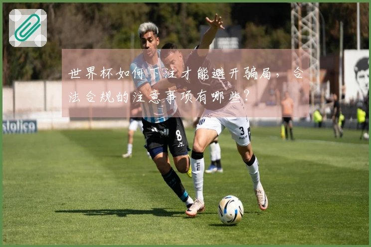 世界杯如何下注才能避开骗局，合法合规的注意事项有哪些？