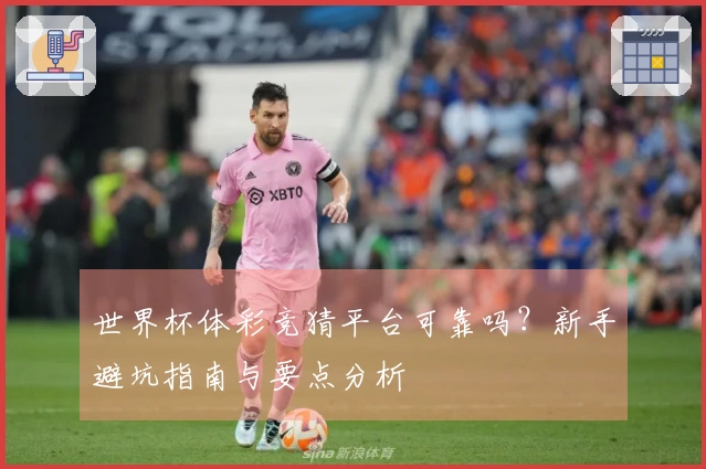世界杯体彩竞猜平台可靠吗？新手避坑指南与要点分析