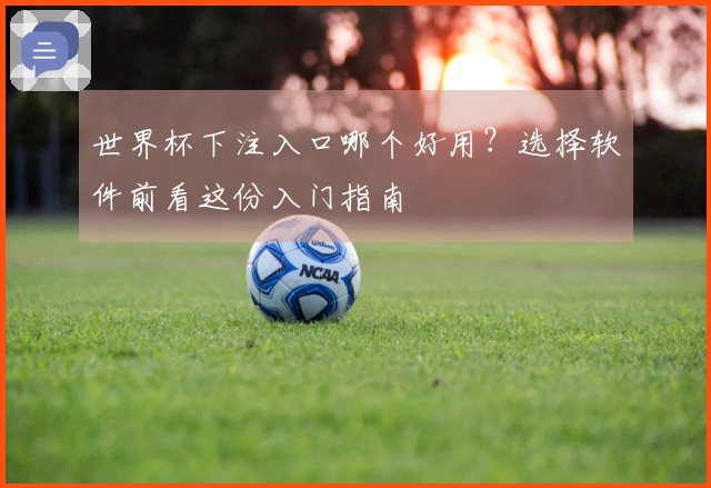 世界杯下注入口哪个好用？选择软件前看这份入门指南