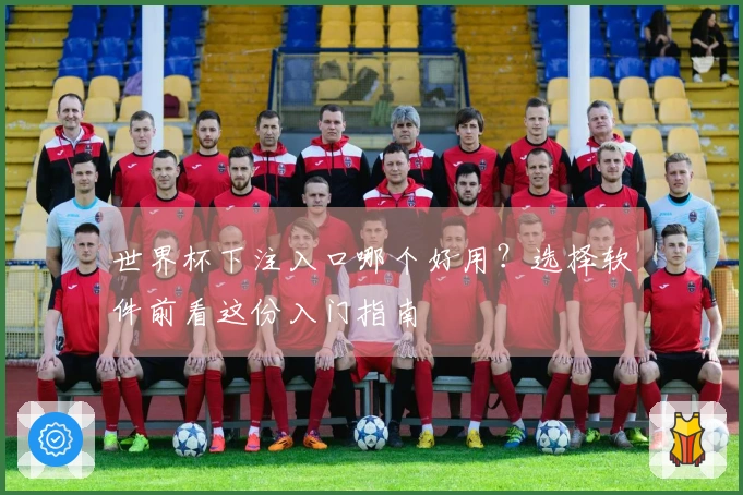 世界杯下注入口哪个好用？选择软件前看这份入门指南